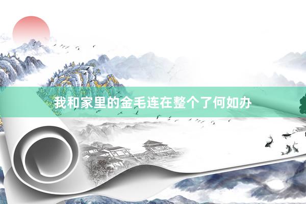 我和家里的金毛连在整个了何如办